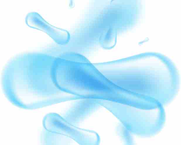bifidobacterium